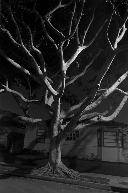 Henry Wessel, Night Walk No. 55, 1998, gelatin silver print, image, 17 7/8 x 12 1/8 inches paper, 20 x 16 inches, signed, titled and dated verso in pencil © Henry Wessel; courtesy Pace/MacGill Gallery, New York