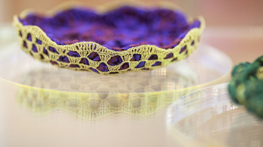 Vitórias Régias para Rio Cocó (Victoria amazonica lily pads for River Cocó)