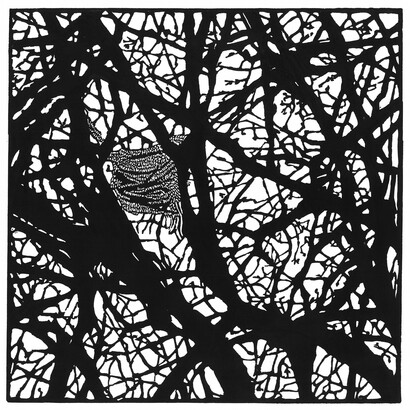 Paula Pohli, Heimat Mayo linocut