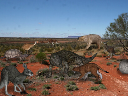 Gli animali nel Pleistocene