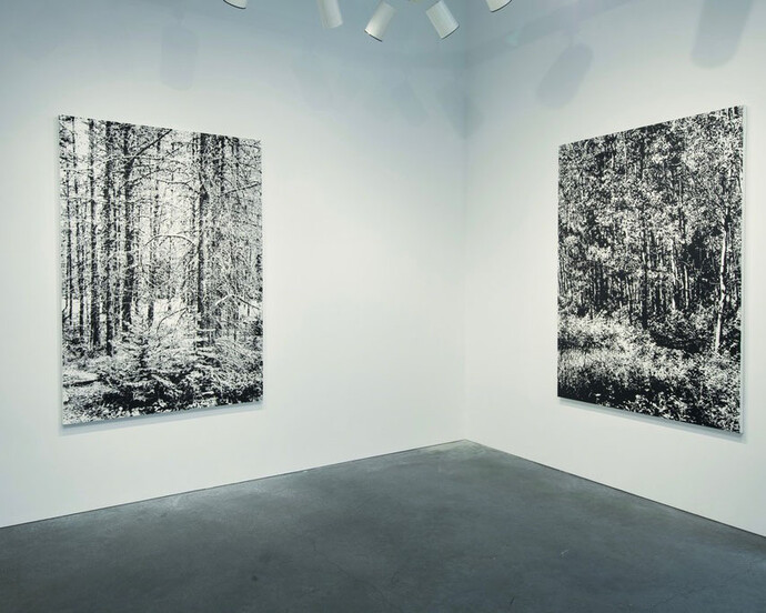 Glass Summers. Courtesy of Eleanor Harwood Gallery