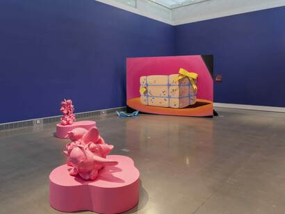 Catalina Schliebener Muñoz, Buenos vecinos, exhibition view. Courtesy of Queens Museum