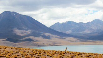 La importancia de cuidar la riqueza hídrica y fluvial de un país (en la imagen, el Parque Nacional Los Flamencos, Chile)