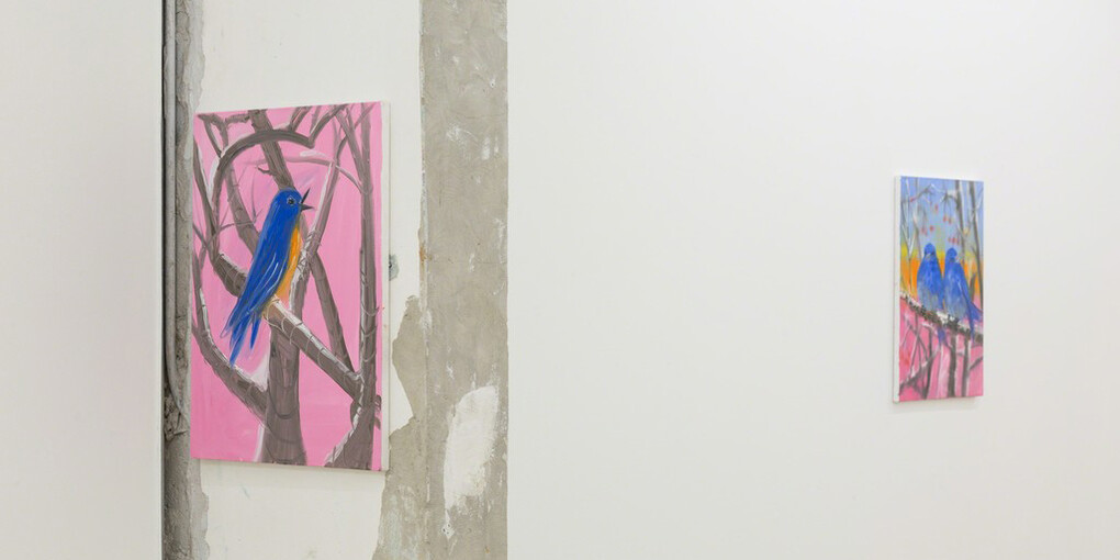 Snowbirds. Courtesy of Nina Johnson