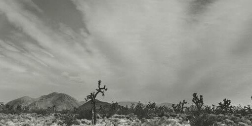 Brett Weston. Courtesy of Cleveland Museum of Art