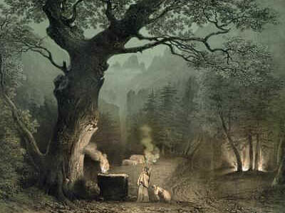 La Quercia della Conoscenza