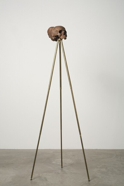 Dorothy Cross, sapiens, 2007, cast bronze skull and antique brass tripod,128 x 49 x 49cm, 25 x 15 x 25 cm, 50.4 x 19.3 x 19.3 in 9.8 , Courtesy of Dorothy Cross and Kerlin Gallery, Dublin