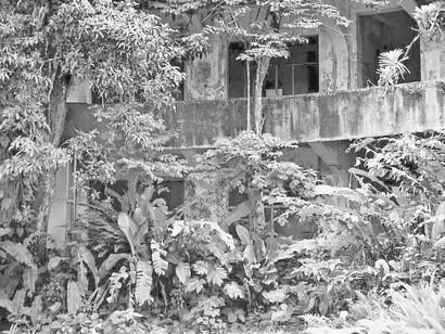 Sección de las habitaciones no finalizadas del edificio de la Estación Biológica de Rancho Grande