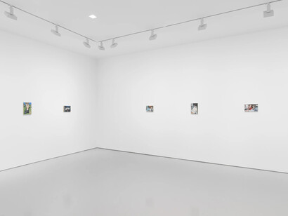 Tim Hawkinson, Cabinet pictures, exhibition view. Courtesy of Miles McEnery Gallery