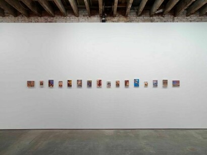 Luis Molina-Pantin, installation view of Non-Fiction Reviews, 2006-2010, sixteen books in acrylic boxes, dimensions variable, Images courtesy the artist and Henrique Faria Gallery, New York