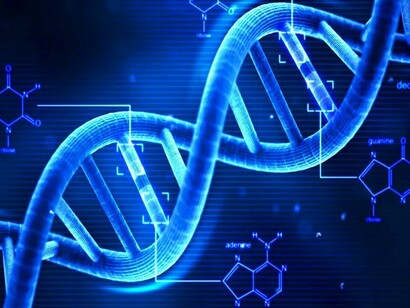 Il DNA
