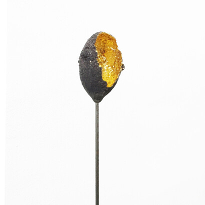 Alice Padovani, Cocoons, installazione, bozzoli di scarabeidi, foglia d'oro, vetro, steli di ferro, dimensioni ambientali, dettaglio