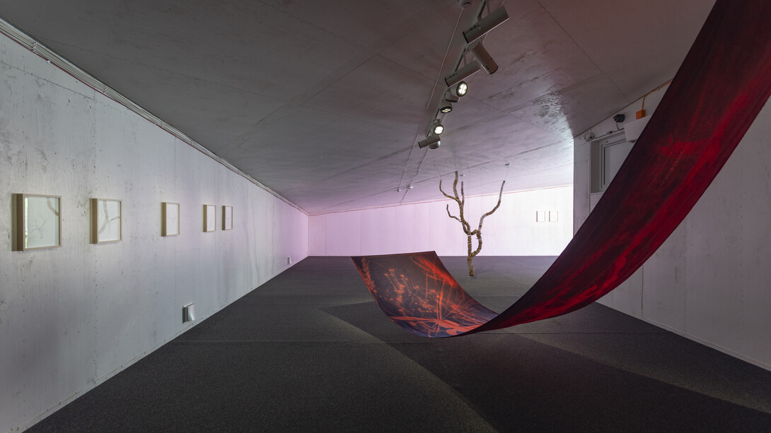 Maria Kapajeva, I am a border, exhibition vew. Courtesy of Tallinn City Gallery