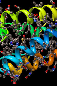 Macromolecules