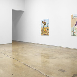 Hadi Alijani, The mutilated gaze, exhibition view. Courtesy of Michael Kohn Gallery