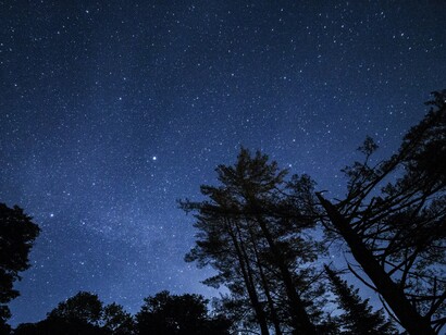 La mente arriva in mio soccorso alle prime difficoltà