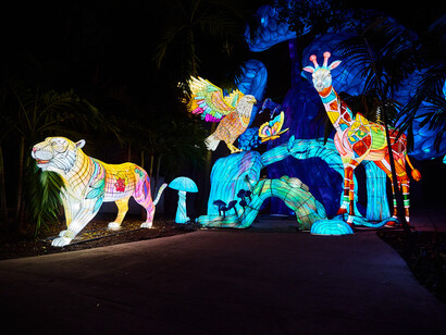 Lektrik art: um festival de luzes. Cortesia da Fever