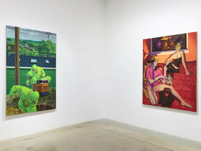 Patrick Bayly. Like a lion, my hands and my feet, installation view. Courtesy of Steve Turner