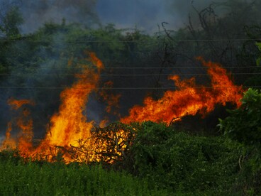 Incêndio florestal se alastrando rapidamente entre a vegetação seca. A ausência de prevenção eficaz permite que o fogo avance sem controle