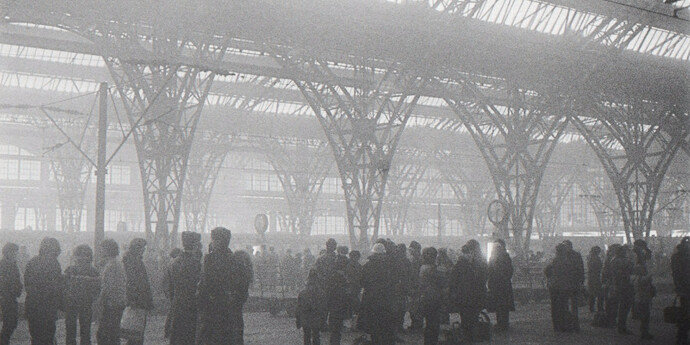 In One's Own Account. Courtesy of Collection Regard