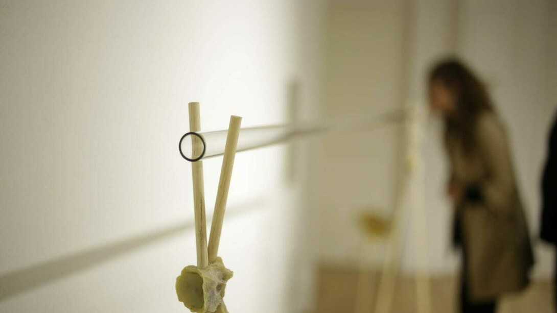 Tentativo di Dubbio. Courtesy of Nelumbo Open Project