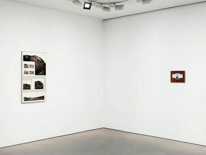 Installation views: Llyn Foulkes. Andrea Rosen Gallery 2, New York October 12 - November 16, 2013. Photograph taken by Lance Brewer, courtesy of Andrea Rosen Gallery  