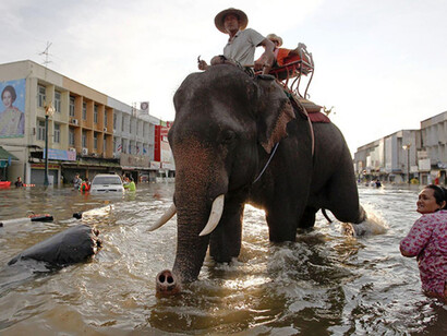 Flooding in Thailand
