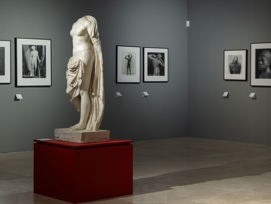 'Robert Mapplethorpe. Le forme della bellezza'  sono esposti i grandi capolavori: i ritratti di personaggi famosi del mondo dell’arte, della letteratura, della musica, del cinema come Yoko Ono, Robert Rauschenberg, Donald Sutherland, David Byrne, Richard Gere; la sezione dedicata agli autoritratti; alle sue muse Patti Smith e Lisa Lyon; ai fiori e alle foto più sensuali di corpi maschili e femminili oltre ad una sezione dedicata al confronto con l’antico, esposte in mostra anche due sculture classiche conservate ai Musei Capitolini - la Statua di Afrodite della seconda metà del I sec. a.C. – inizi del I sec d.C. e la Statua di atleta, I secolo d.C. da un originale greco del V a.C. Museo dell'Ara Pacis, Roma, Italia. Credits immagini: Zètema Progetto Cultura