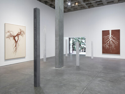 Claudia Comte, Lost in the forest, vista de exhibición. Cortesía del Galería OMR