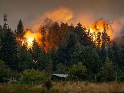 En localidades como El Bolsón y Epuyén, los incendios intencionales han obligado a evacuaciones masivas y han dejado comunidades en estado crítico