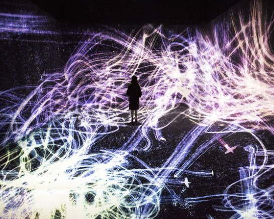 Living Digital Forest and Future Park. Courtesy of Pace Beijing