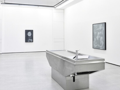 Sektion. Courtesy of Galerie Christophe Gaillard