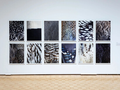 Thaddeus Holownia, Governor general's awards in visual and media arts, exhibition view. Courtesy of Corkin Gallery