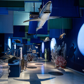 In praise of diversity. Journey through italian ecosystems, exhibition view. Courtesy of Palazzo Esposizioni Roma