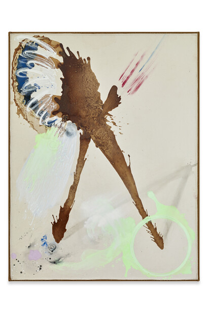 Lucy Dodd
The Blow, 2018
Tobacco, ash, cochineal, azurite, dry pigment, and acrylic paint on canvas 157,5 x 120,7 cm
62 x 47 1/2 inches
© Lucy Dodd
Courtesy of Sprüth Magers and David Lewis Gallery, New York Photography by Stephen White