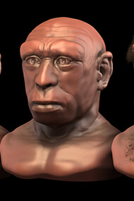 Ricostruzione facciale attraverso le tecniche forensi dell'Homo heidelbergensis