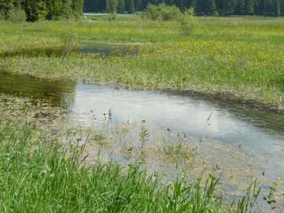 Lago di Dobbiaco. Foto di  Simonetta Sandri