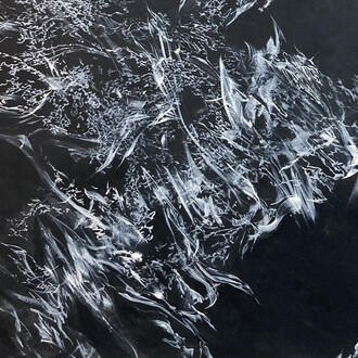 Jakob Dwight, Audible serpentine majesty, 2023. Courtesy of Maus Contemporary