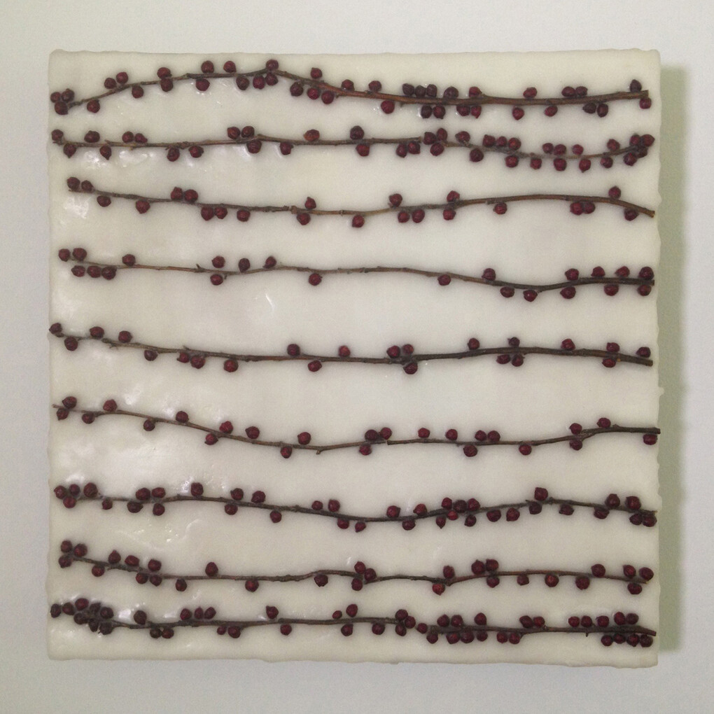 Baya I Series No. 3, 12 x 12 inches plant material, beeswax on panel by Allyson Levy