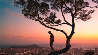 A man stands on a tree branch at sunset in Honolulu, Hawaii, silhouetted against the glowing sky
