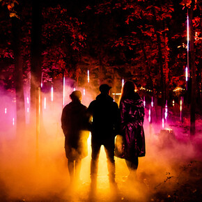 Light cycles. Courtesy of Fever