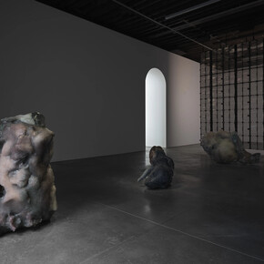 Pierre Huyghe, In imaginal, exhibition view. Courtesy of Marian Goodman Gallery