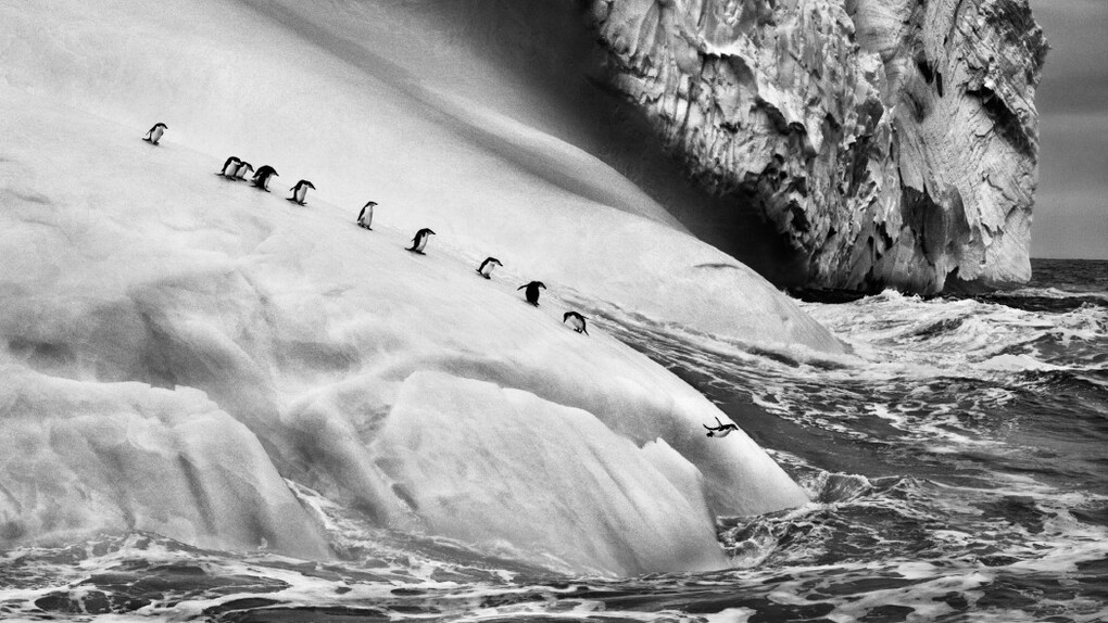 Sebastião Salgado, Dalla serie "Ghiacciai", 1995 - 2020. Courtesy of Mart