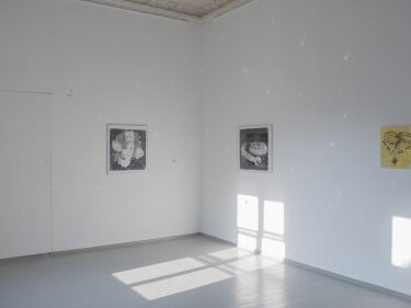 Adomas Danusevičius. Courtesy of Vartai Gallery