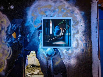 John Divola, Gafb f7418 (10_27_2023), 2019–2024. John Divola, Gafb b16576 (12_16_2020), 2019–2024. Courtesy of Yancey Richardson 