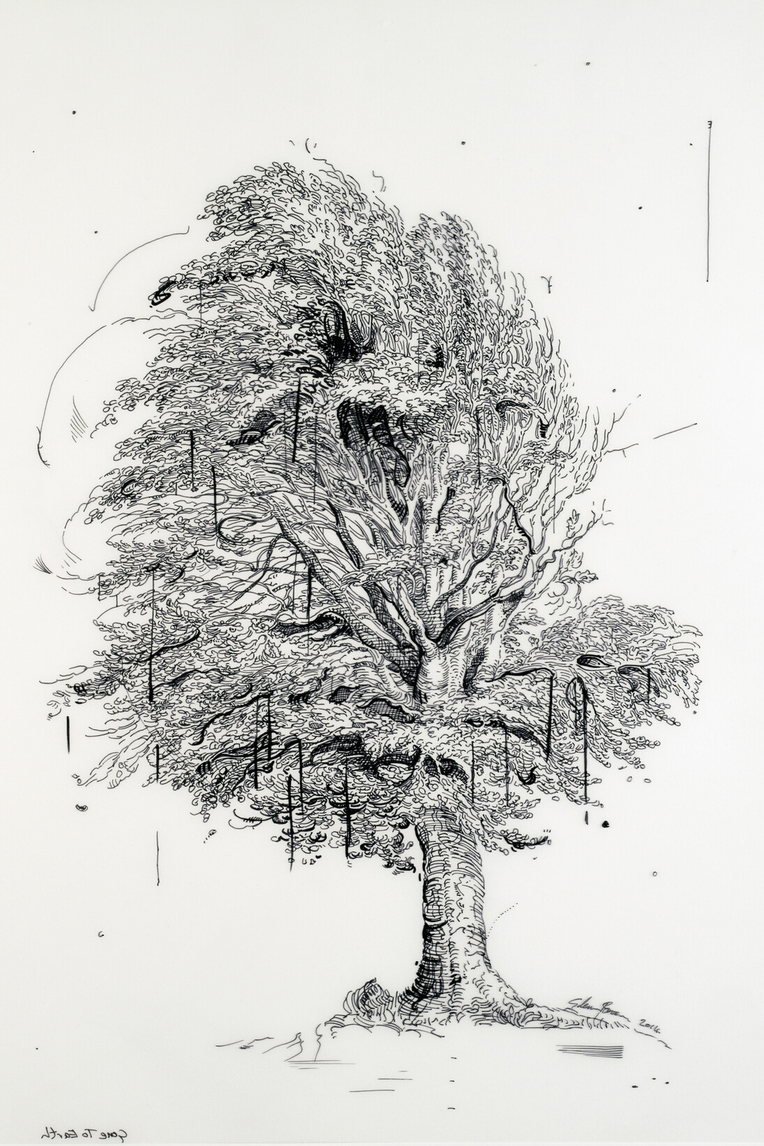 Glenn Brown, Drawing 28, Gone to Earth (after De Gheyn II), 2014, ink on polypropylene, 45 x 27 cm, Courtesy de l’artiste et de la Galerie Max Hetzler, Berlin | Paris

