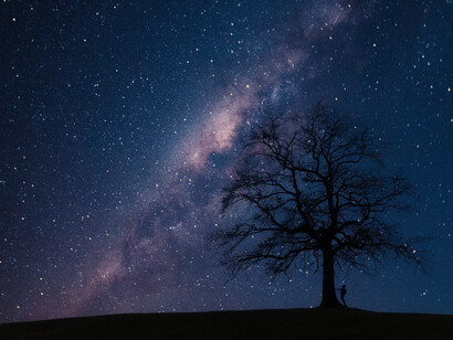 A man stands near a beautiful try shadowing the stars of the universe at night