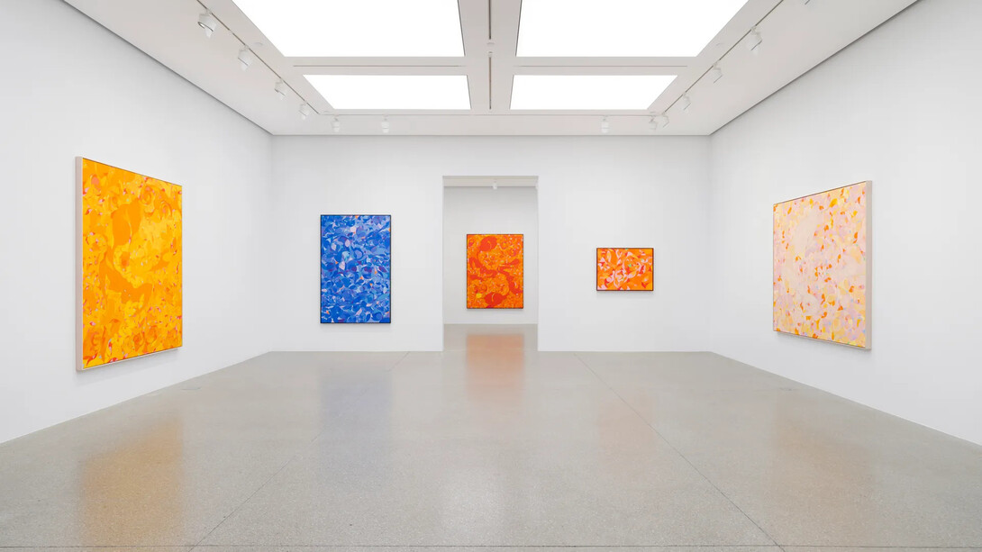 Tunji Adeniyi-Jones, Immersions, exhibition view. Courtesy of White Cube