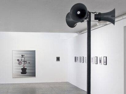 Thomas Zipp. Courtesy of Galerie Guido W. Baudach 