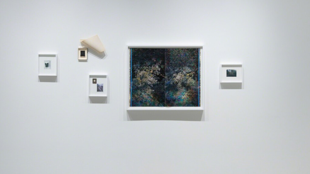 Echo: Sean McFarland. Courtesy of Casemore Kirkeby